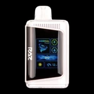 RAZ New York Mint 25000 puff disposable vape (50mg) 5% salt nicotine