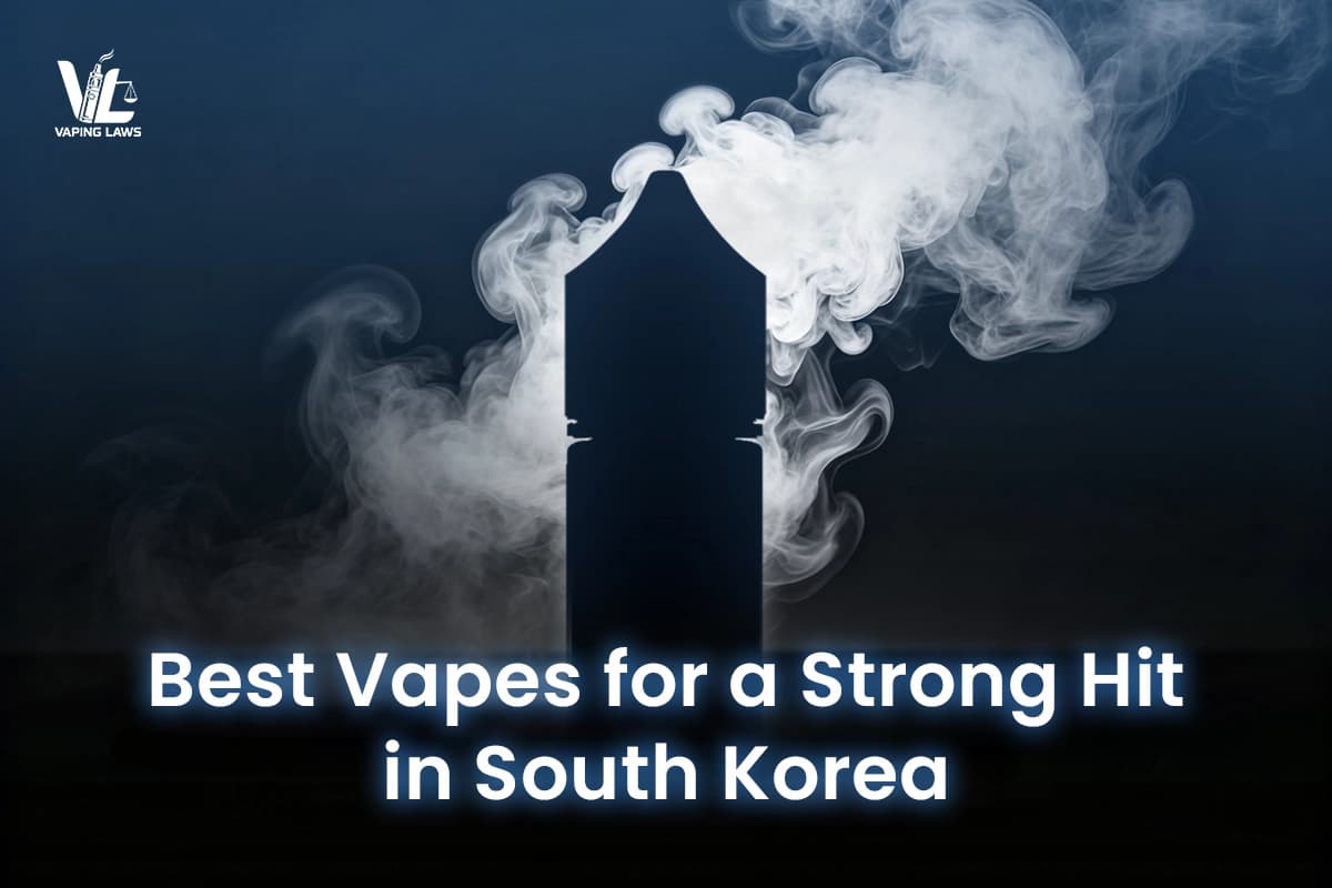 한국에서 타격감 강한 일회용 전자담배 추천 2026