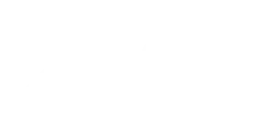 ZYN 니코틴 파우치