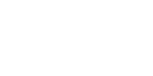 엘프바 (ElfBar)