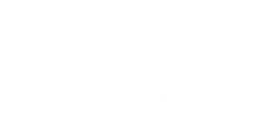 리즈 (RIZZ)